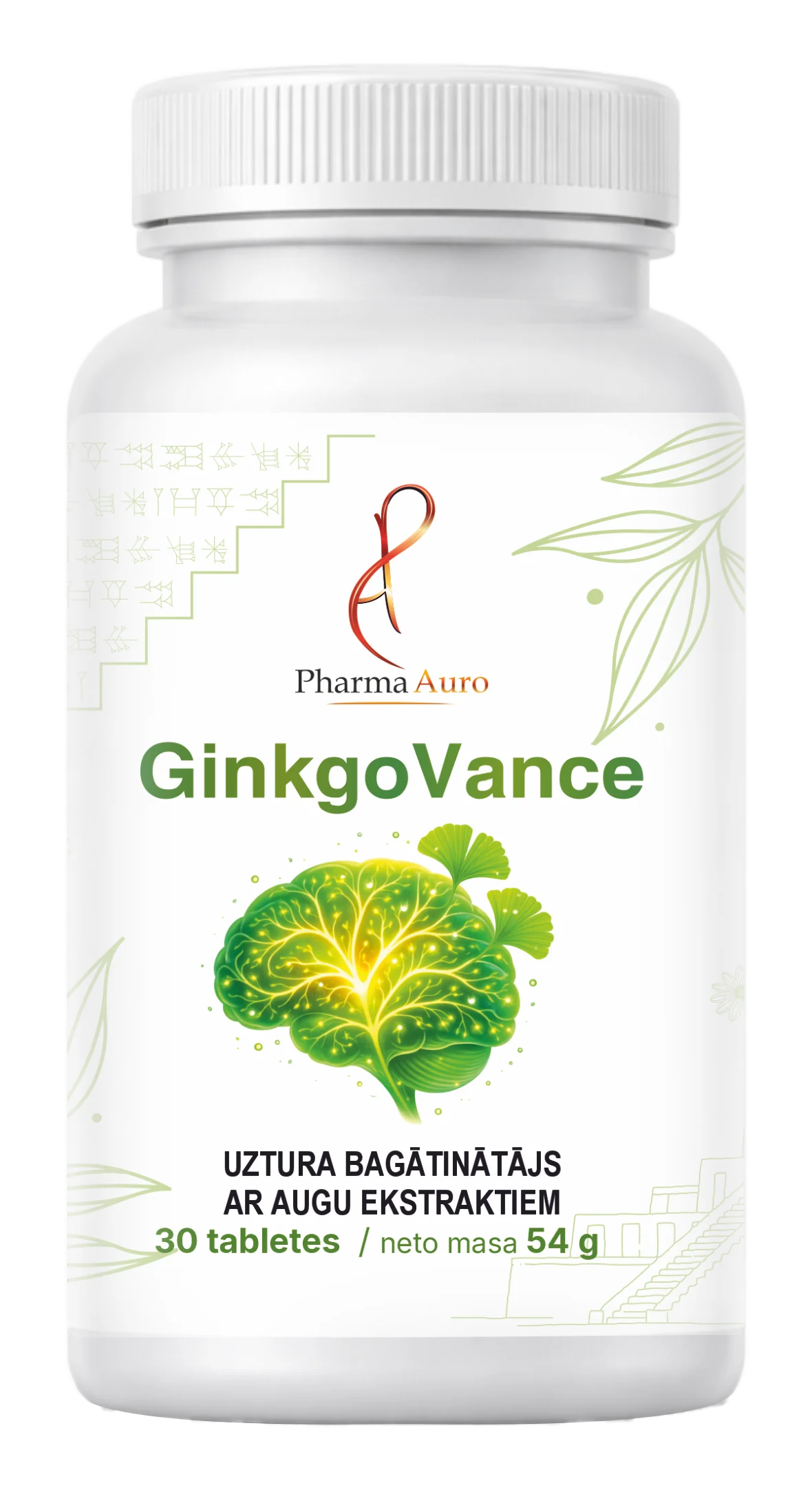 GinkgoVance